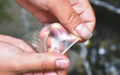 避孕套存在小孔。