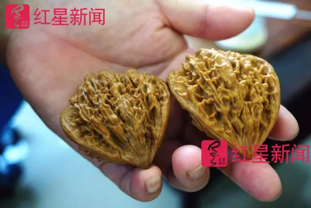 文玩核桃遇冷由幾萬一對降到5元沒人要？商戶否認(rèn)