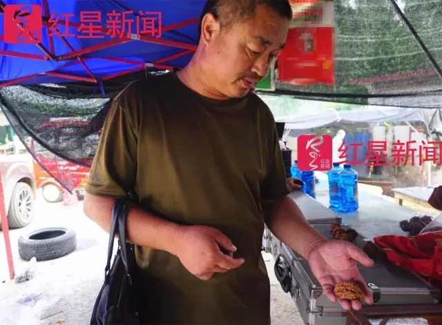 文玩核桃遇冷由幾萬一對降到5元沒人要？商戶否認(rèn)