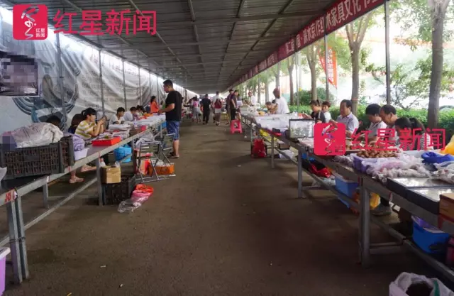 文玩核桃遇冷由幾萬一對降到5元沒人要？商戶否認(rèn)