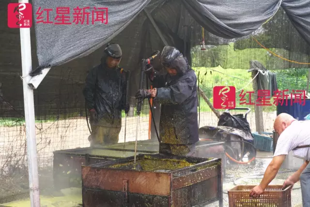 文玩核桃遇冷由幾萬一對降到5元沒人要？商戶否認(rèn)