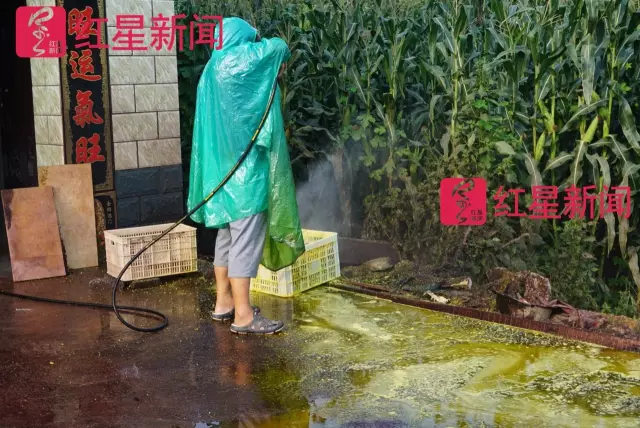 文玩核桃遇冷由幾萬一對降到5元沒人要？商戶否認(rèn)