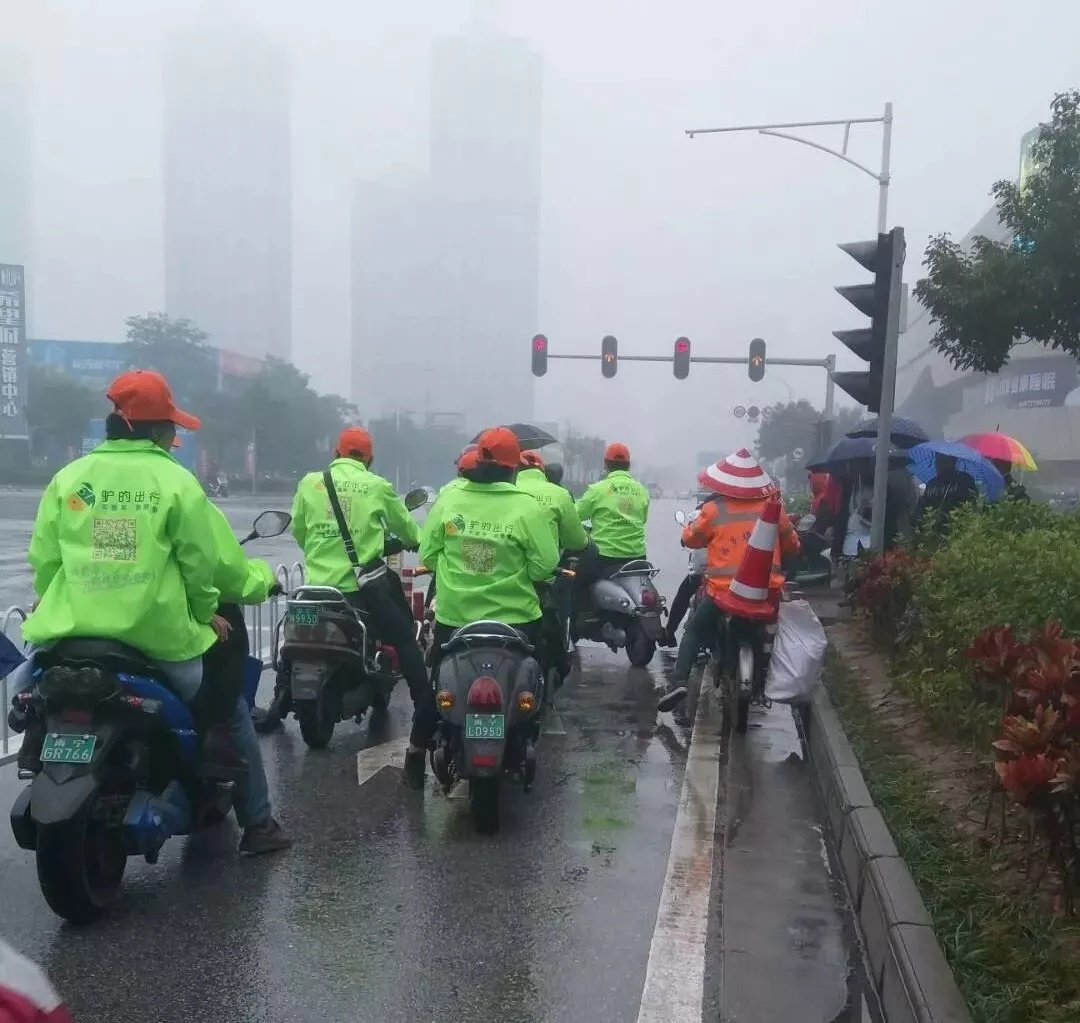 出門打驢？ 南寧“滴滴打驢”被緊急叫停