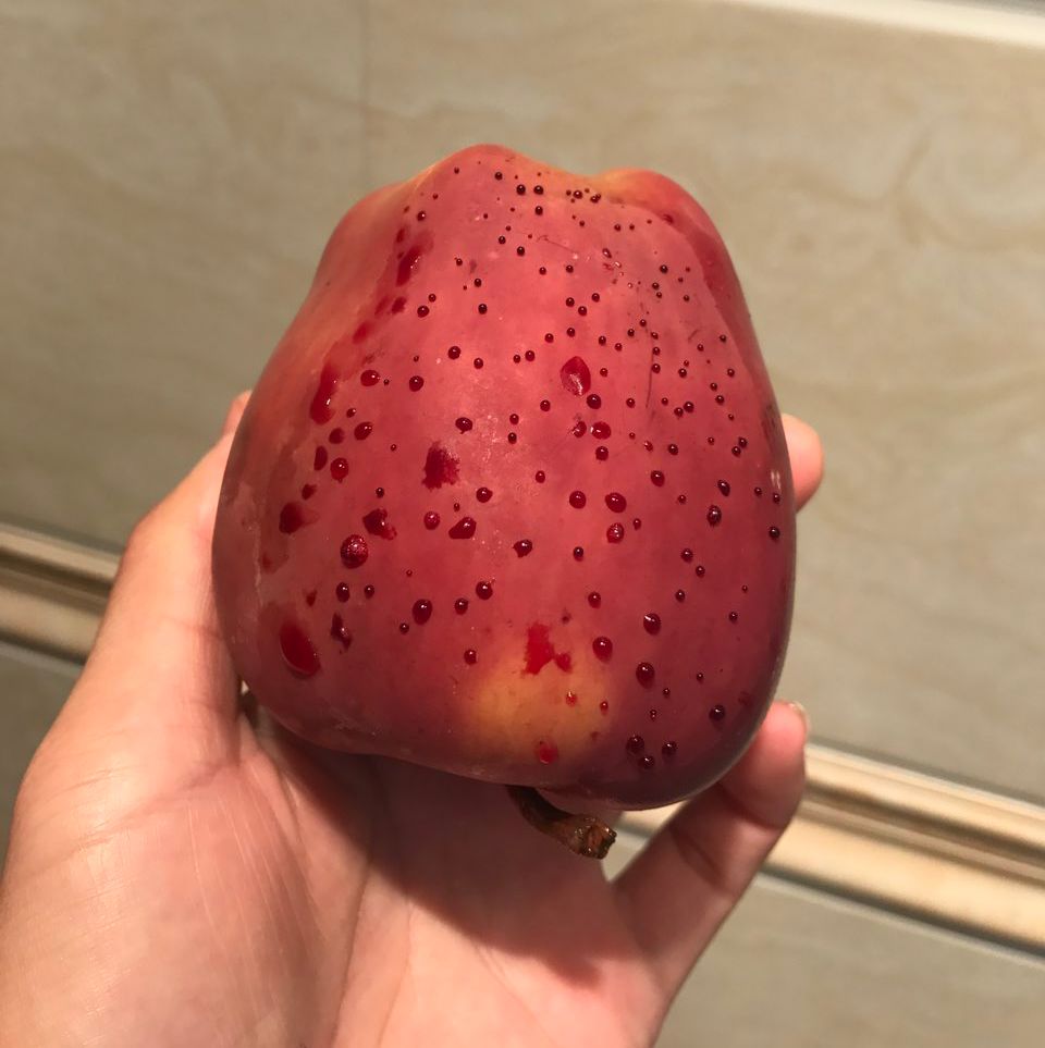 嚇懵！女子用熱水泡蘋果結(jié)果冒出血珠 咋回事？