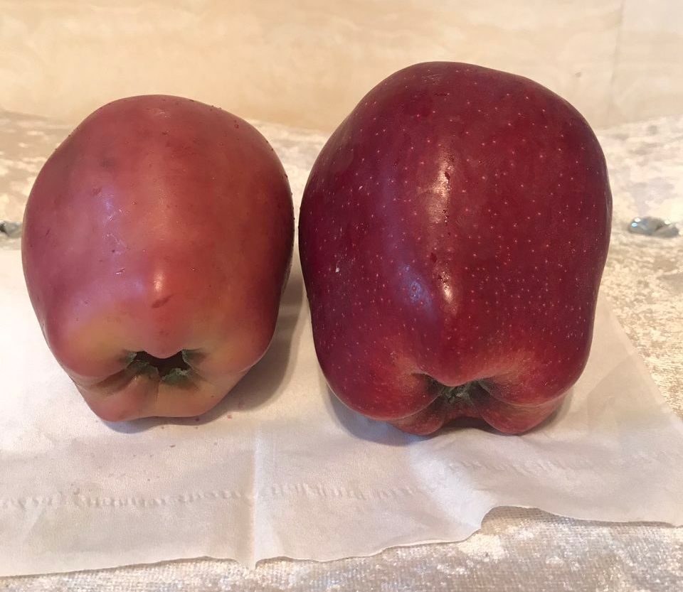 嚇懵！女子用熱水泡蘋果結(jié)果冒出血珠 咋回事？