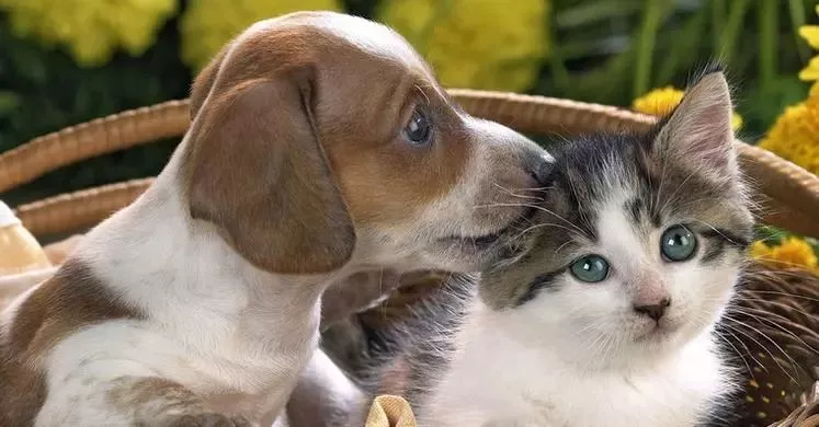 可憐！12歲女孩右眼完全失明 只因平時有這愛好