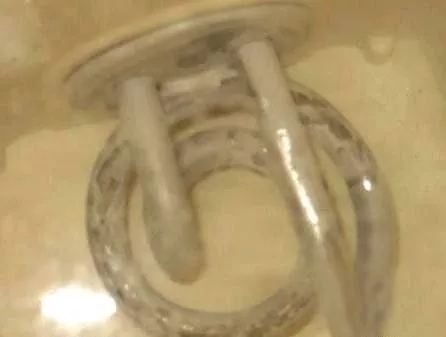 太惡心！女游客竟用酒店燒水壺煮自己的臟內(nèi)褲