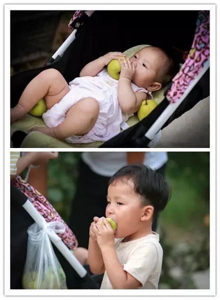 純天然無(wú)公害，新鮮采摘，直接入口！