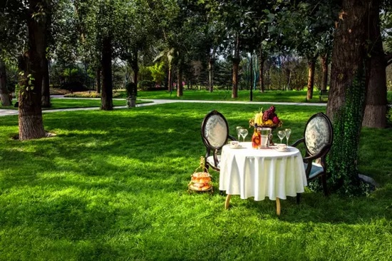 秋陽鴻園，芳草青青