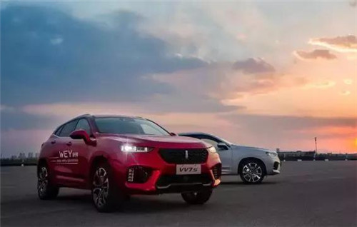 去年“蹦”出來的新汽車品牌們，現在活得怎么樣了？