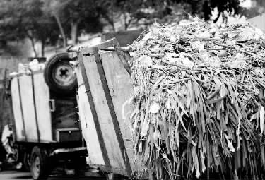 垃圾車、渣土車再在市區(qū)“裸奔”就是違法了