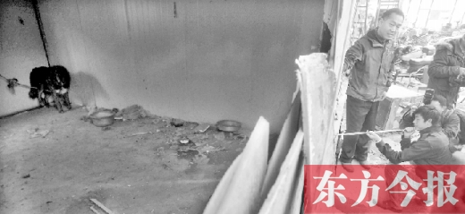 12月4日，鄭州市未來路與隴海路交叉口西側(cè)，執(zhí)法人員用吹管麻醉針對付一只藏獒