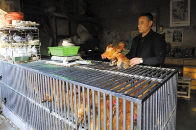 南京另一家農(nóng)貿(mào)市場(chǎng)內(nèi)待售的活雞。因南京出現(xiàn)H7N9禽流病例，買活雞的顧客減少。