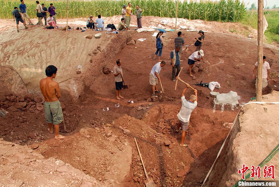 恐龍化石發(fā)掘現(xiàn)場。