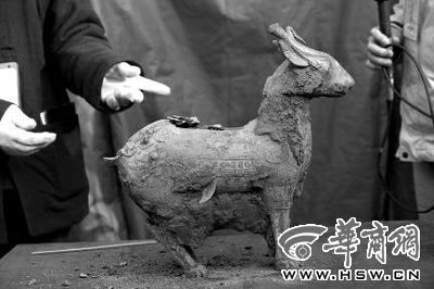 一件似羊似鹿的犧尊華麗亮相，可愛的造型“萌翻”現(xiàn)場。