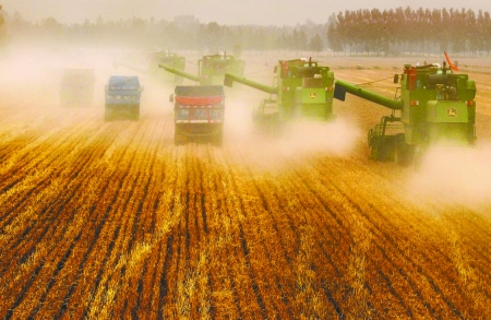 田里，一臺(tái)臺(tái)收割機(jī)唱著豐收歌。