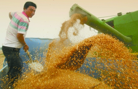 心情喜悅麥龍舞。