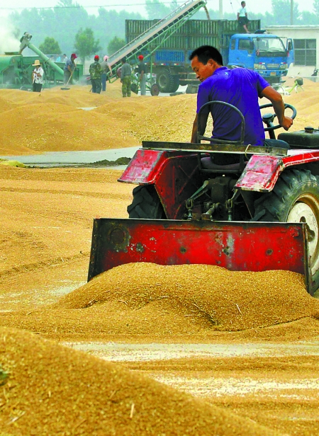 精心晾曬，散倉(cāng)入庫(kù)。