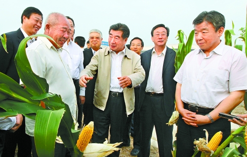 圖為回良玉在鄧州市腰店鄉(xiāng)草寺村視察萬畝玉米高產(chǎn)示范方。