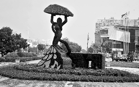 8月28日，南陽街頭繁花似錦，市民宛若行走在花海之中。