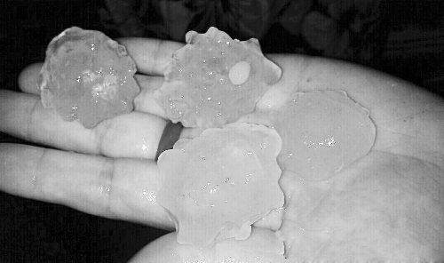 昨天凌晨，三門峽下起了冰雹，最大直徑近1厘米 微博截圖