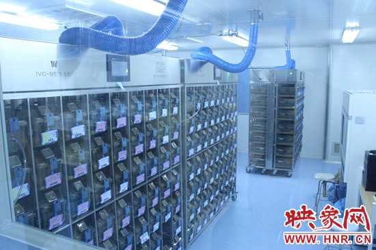 “鼠村”里每一個籠子是一家。“村”里住著1萬只左右的小鼠