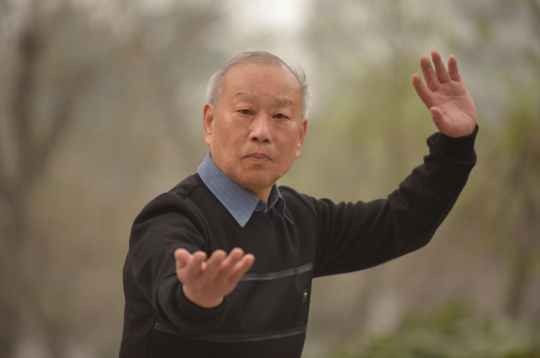 太極拳師聶玉璽