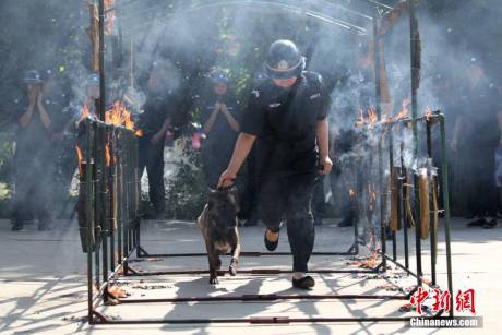 河南某景區(qū)成立女子反恐救援隊