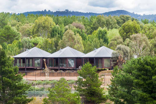 澳洲動(dòng)物園中開旅館 親密接觸野生動(dòng)物