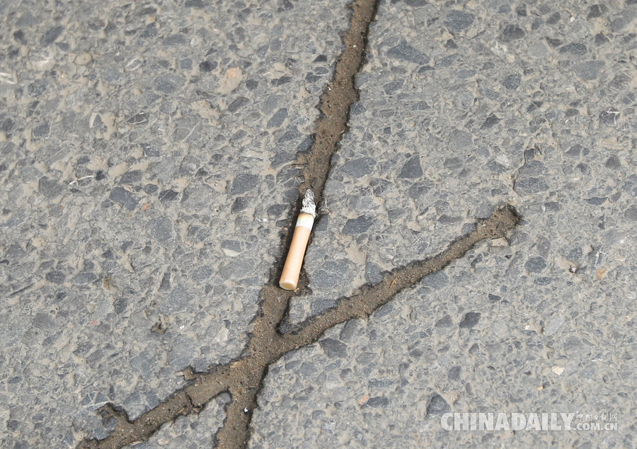 鄭州司機(jī)開(kāi)車隨手扔煙頭被罰100元