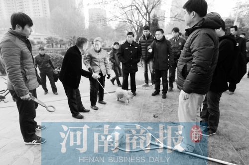 一只辦過(guò)狗證的小白狗，因?yàn)闆](méi)有拴犬鏈，被執(zhí)法人員暫扣