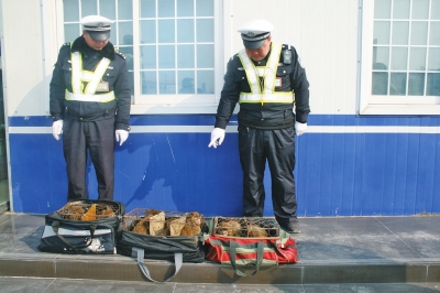 民警查獲的乘客行李包中，裝的全是獼猴。