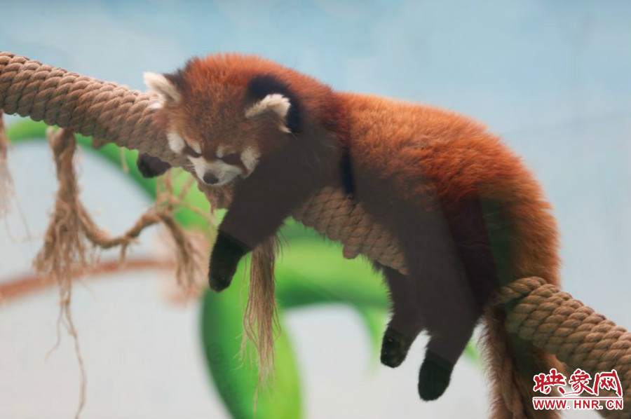 “休息，休息一下?！? width=