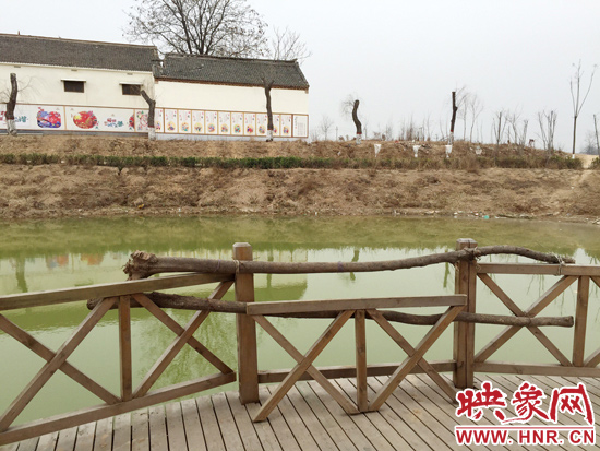 護(hù)欄損毀的地方，已經(jīng)被兩根樹(shù)干擋住。