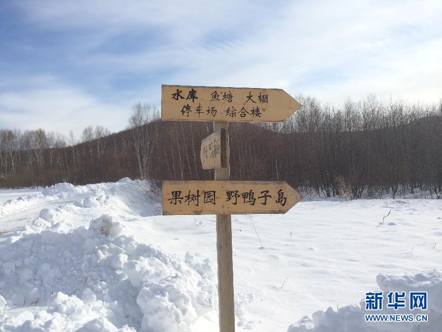 穗豐園里的標識牌（2013年12月8日攝）。新華社記者王子辰攝
