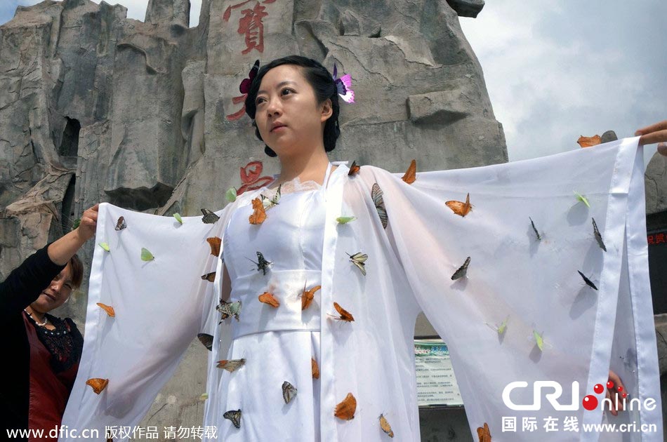 “蝴蝶仙子”身穿上百只剛剛扎死的蝴蝶。圖片來源：老祝/東方IC