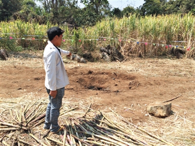 昨日，在大水桑樹村，村民向記者展示13日造成5死8傷的炸彈事件彈坑。