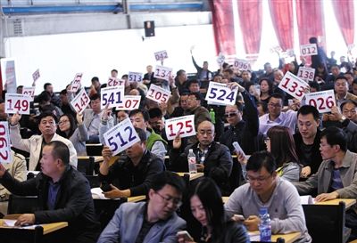 競拍者正在練習舉牌動作，以便拍賣時讓工作人員看清號牌。