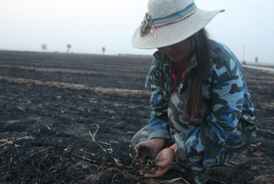 村民們眼巴巴看著豐收的小麥“葬身”火海，心疼不已。