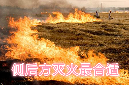 不要在風(fēng)頭上打火：風(fēng)正大，火正旺，最容易傷人；