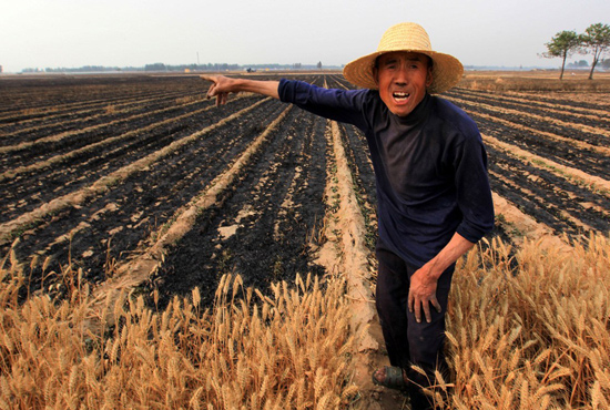 河南省滑縣、內(nèi)黃縣麥田著火，麥壟套種的花生、玉米苗也被烤焦，群眾損失慘重