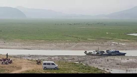 2015年10月27日，“冬季到湖區(qū)看草原”是近年來鄱陽湖生態(tài)濕地興起的旅游項(xiàng)目。江西省星子縣鄱陽湖邊，進(jìn)入枯水期的鄱陽湖，“草原”風(fēng)光已經(jīng)取代碧水連天，遠(yuǎn)處有牛群吃草。 新華社記者郭雅茹 攝