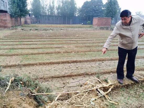 2015年10月20日，河北省柏鄉(xiāng)縣地下水超采區(qū)，地面沉降，大地出現(xiàn)8公里長的裂縫，最寬處有1米寬。農(nóng)民用土填上裂縫，但是一下雨又會(huì)塌陷。新華社記者郭雅茹 攝
