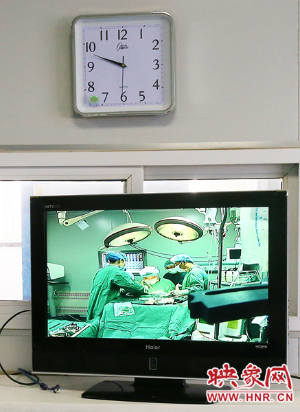 由于扎入大龍顱內(nèi)的針位置較深，所以經(jīng)過七次定位才取出,圖為監(jiān)視器中手術(shù)場(chǎng)景