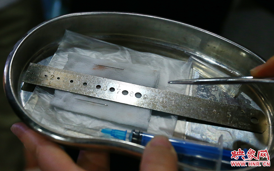 大龍顱內(nèi)取出的鋼針（上）和小龍顱內(nèi)的一樣（下），均為2.5厘米