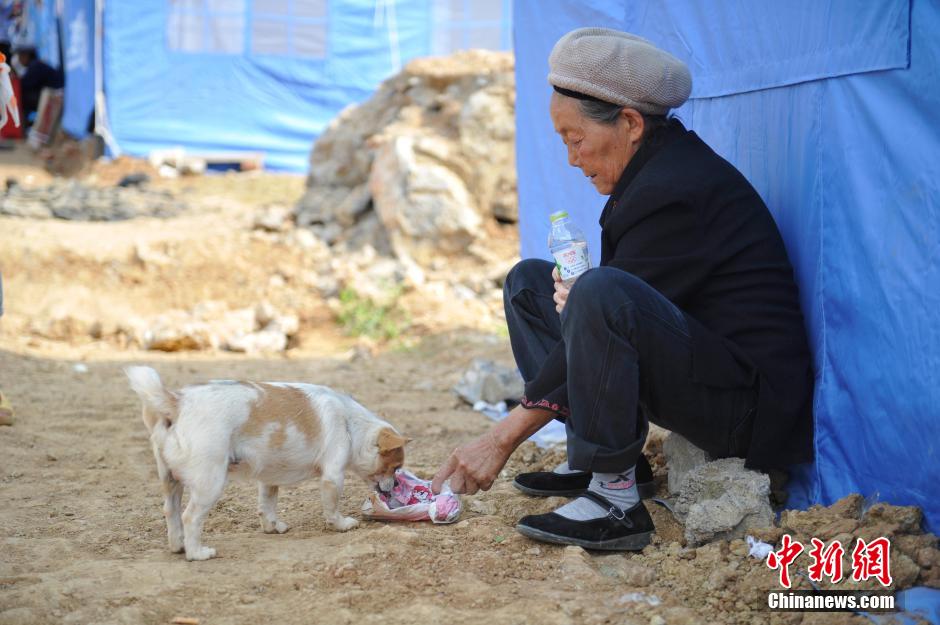 8月6日，一名老人將剛領(lǐng)到的礦泉水分給小狗。