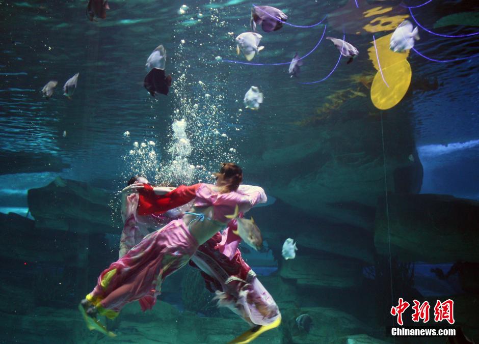 9月7日，在中秋節(jié)到來(lái)前一天，山東泉城海洋極地世界為游客帶來(lái)“嫦娥水中奔月”表演。