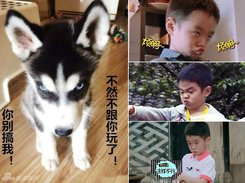 不小心就撞臉了！盤點(diǎn)動(dòng)物界的明星相