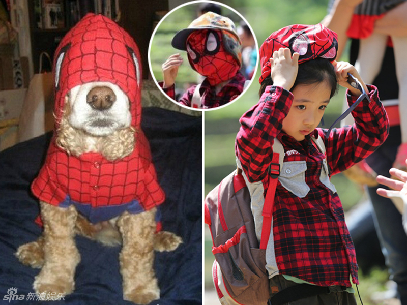 不小心就撞臉了！盤點(diǎn)動(dòng)物界的明星相