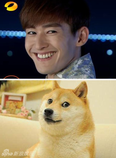 不小心就撞臉了！盤點(diǎn)動(dòng)物界的明星相